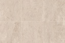 LEVANTE BEIGE BRILLANTE - 61,5x61,5 - RECTIFICADO - 1,90 M2 - 1º - CAÑUELAS (copia)